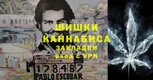 трава Арсеньев